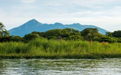 Mesoterapia en Sevilla: El Arte de Rediseñar la Piel desde sus Cimientos